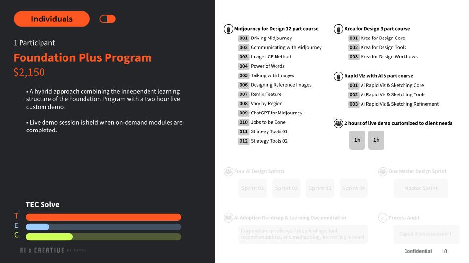 Foundation Plus Program