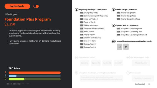 Foundation Plus Program